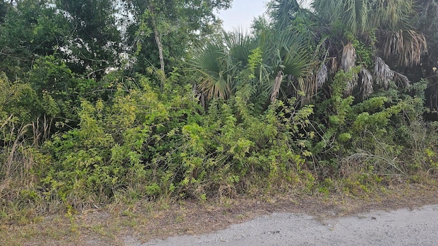 17039 Granville Ave, Port Charlotte FL, 33948 land for sale