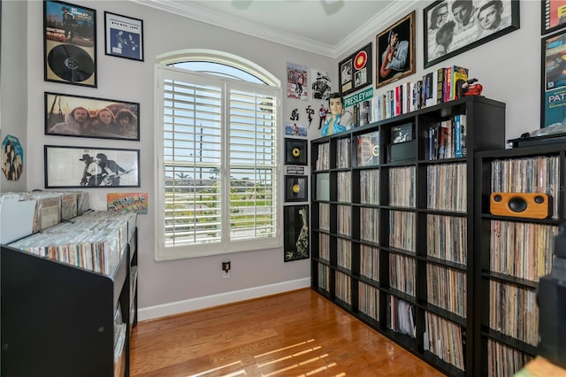 interior space with wood-type flooring and crown molding