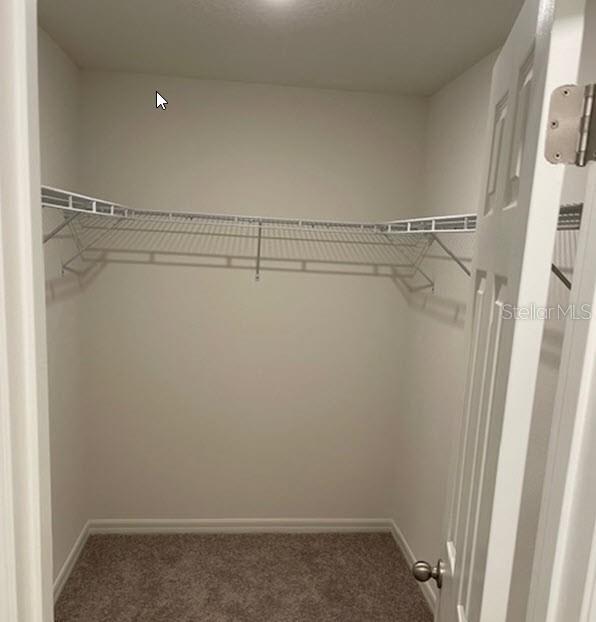 walk in closet with dark colored carpet