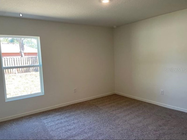 unfurnished room featuring carpet floors