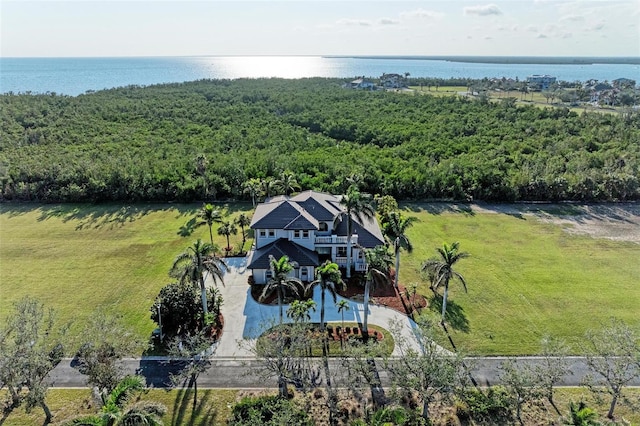 bird's eye view featuring a water view