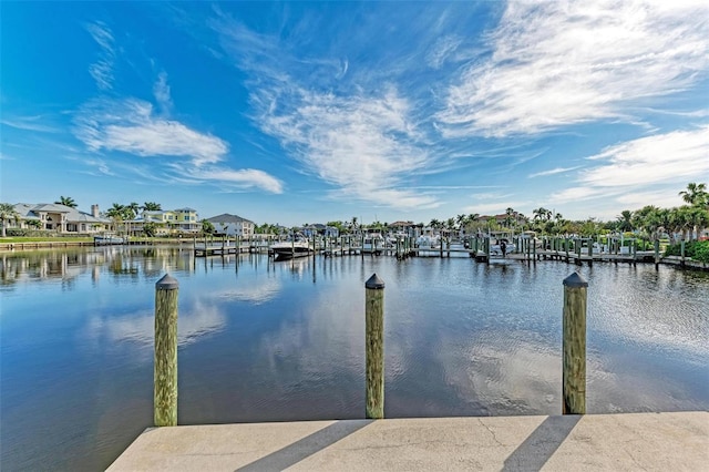 dock area with a water view