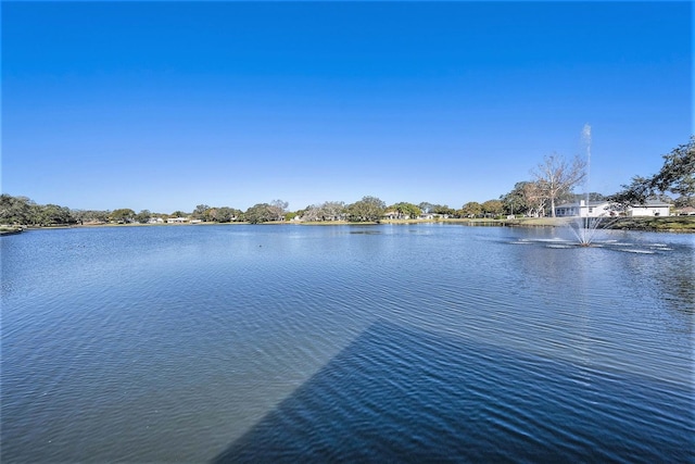 view of water feature