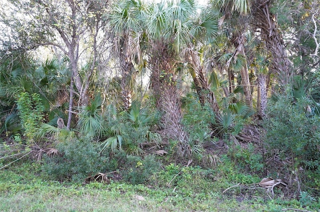 14299 Cannell Ln, Port Charlotte FL, 33953 land for sale