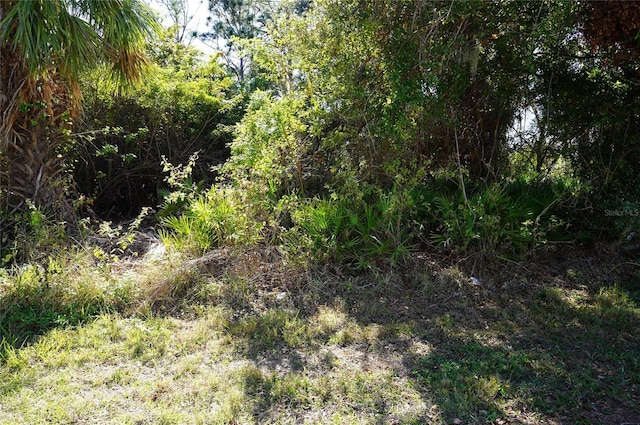 23255 Stelling Ave, Port Charlotte FL, 33980 land for sale