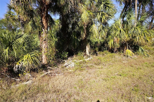 16150 Arcaro Ave, Port Charlotte FL, 33954 land for sale