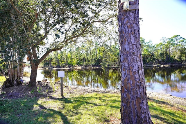 property view of water