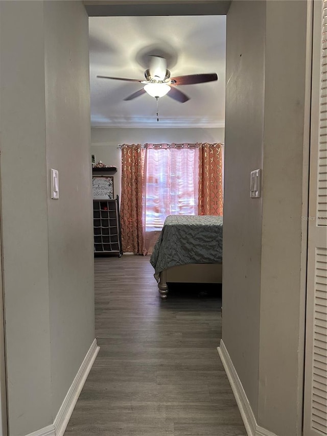 bedroom featuring ceiling fan and dark hardwood / wood-style floors