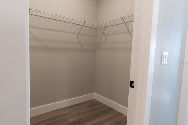 spacious closet featuring dark hardwood / wood-style floors