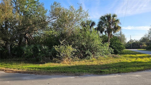 14417 Rowan Ave, Port Charlotte FL, 33953 land for sale