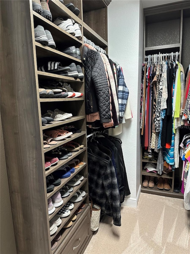 spacious closet featuring carpet flooring