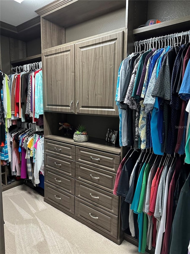 spacious closet featuring light carpet