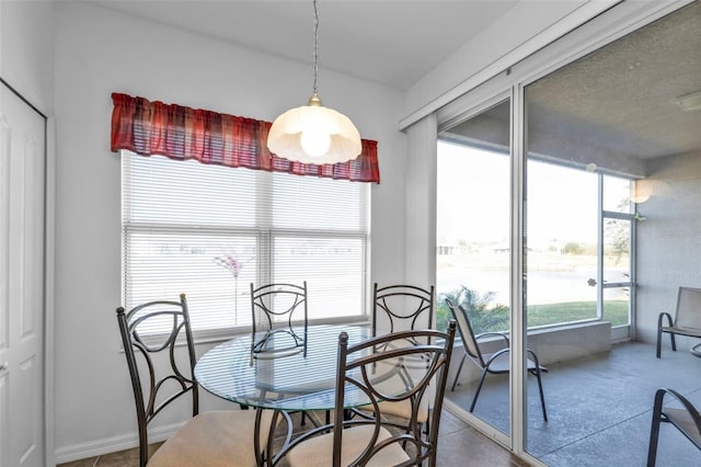 dining space with a wealth of natural light