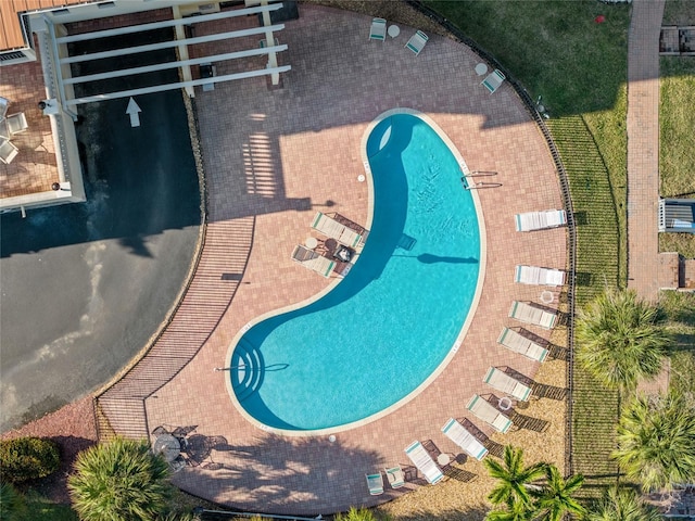 view of swimming pool