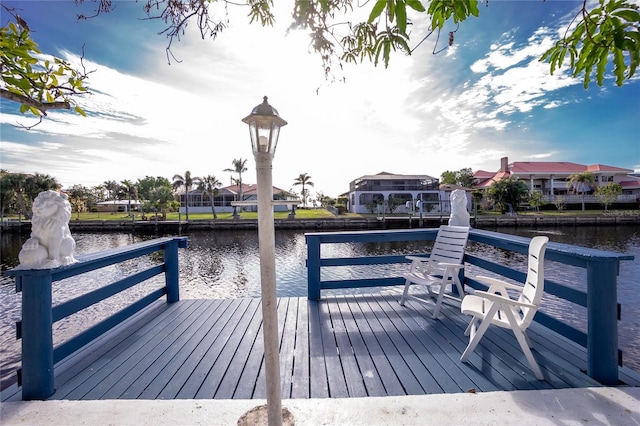 dock area with a water view