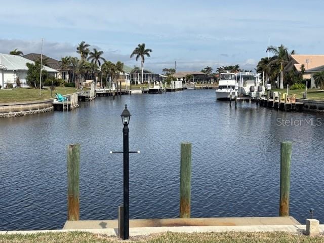 dock area with a water view