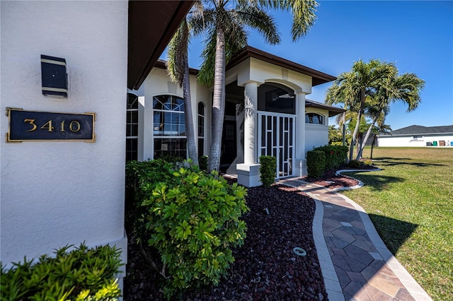 property entrance featuring a yard