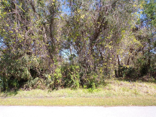 13156 Janwood Ave, Port Charlotte FL, 33953 land for sale