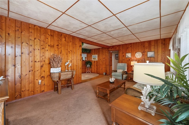 living room with carpet floors and wooden walls