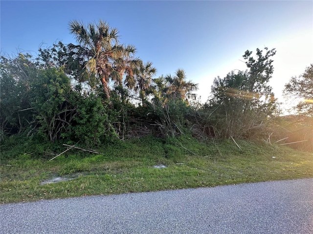 919 Webster Ave NW, Port Charlotte FL, 33948 land for sale