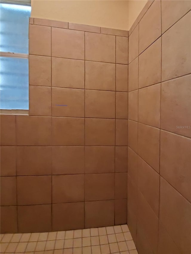 1057 Staley St, Port Charlotte, FL 33952 - bathroom with tiled shower
