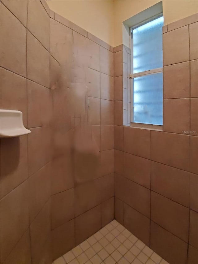 1057 Staley St, Port Charlotte, FL 33952 - bathroom featuring a tile shower