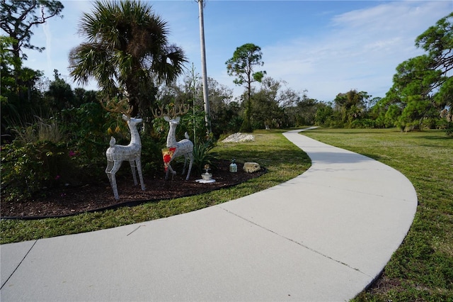 view of property's community with a yard