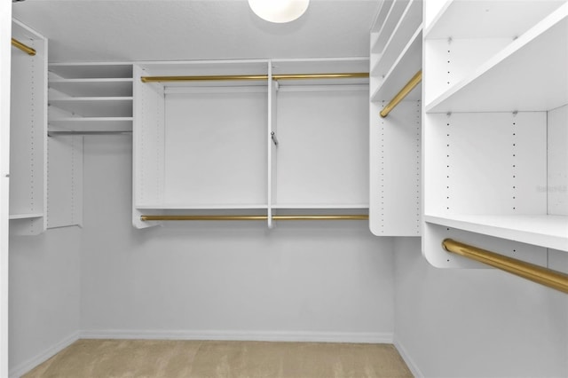 spacious closet with light colored carpet