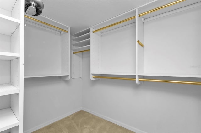 spacious closet with carpet