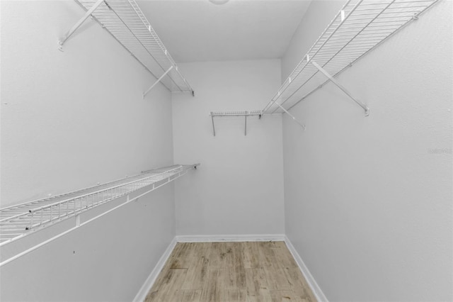 spacious closet featuring light hardwood / wood-style flooring