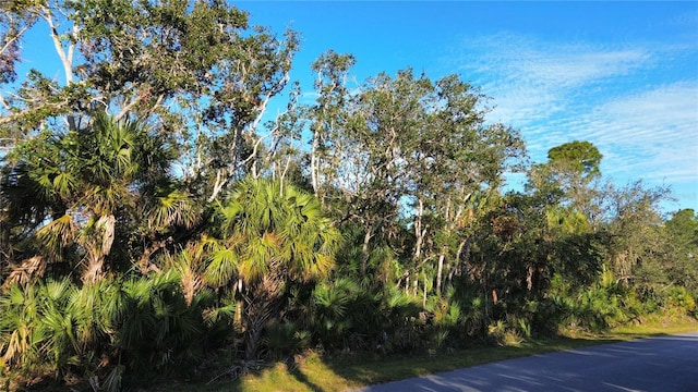 14314 Shagbark Ave, Port Charlotte FL, 33953 land for sale