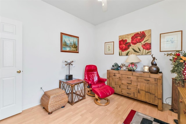 living area featuring wood-type flooring