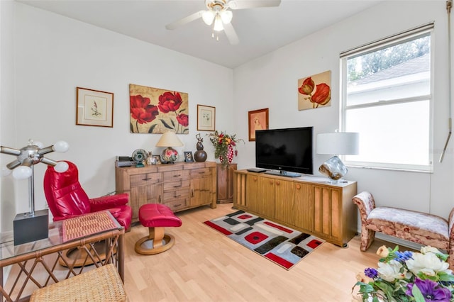 interior space featuring light hardwood / wood-style flooring