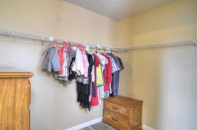 spacious closet with wood-type flooring