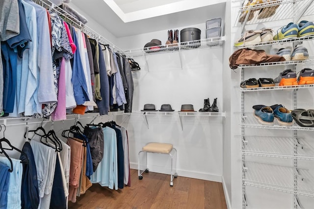 spacious closet with hardwood / wood-style floors