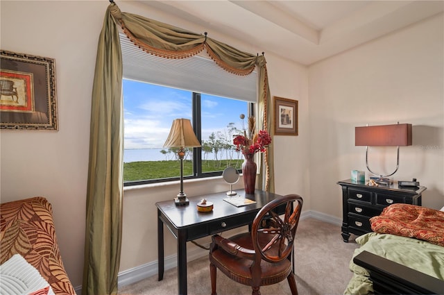 office space featuring baseboards and light colored carpet