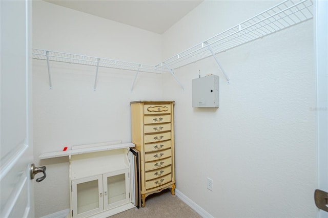 walk in closet featuring carpet flooring