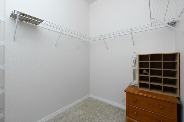 spacious closet featuring carpet floors