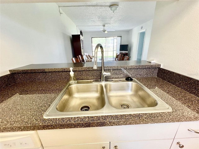 details featuring sink, white cabinets, and a textured ceiling