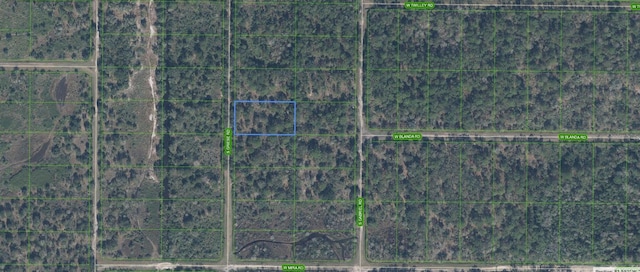 1945 S Griese Rd, Avon Park FL, 33825 land for sale