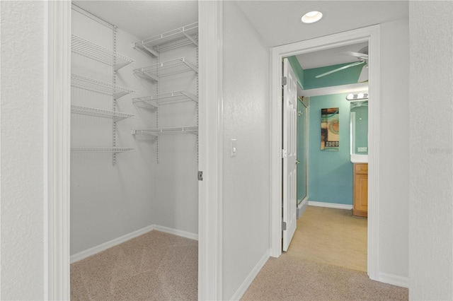 spacious closet featuring light carpet