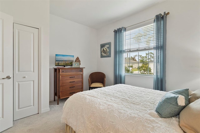 carpeted bedroom featuring a closet