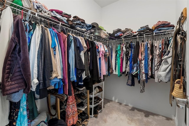 spacious closet featuring carpet flooring