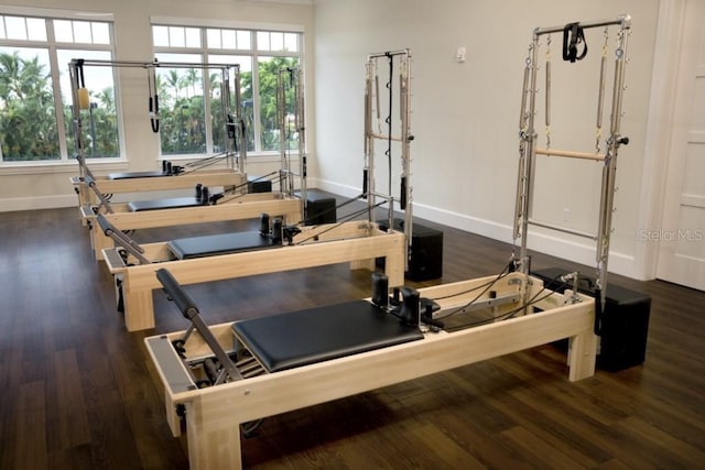 exercise room featuring dark hardwood / wood-style floors