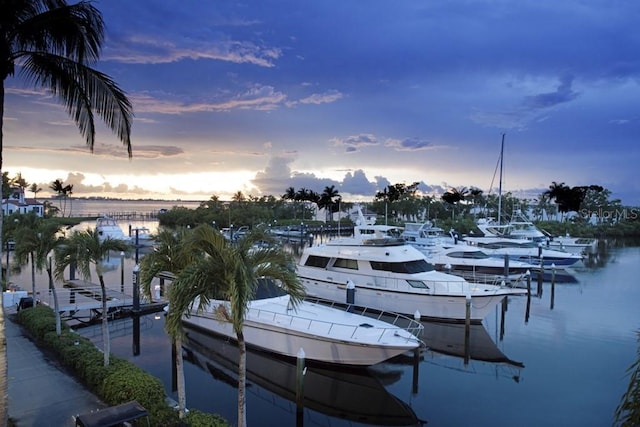 dock area featuring a water view