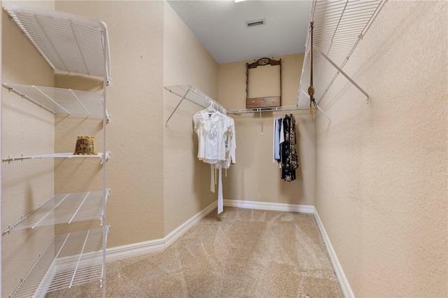 walk in closet featuring carpet floors