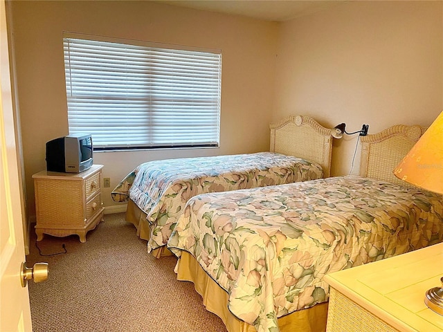 bedroom with carpet