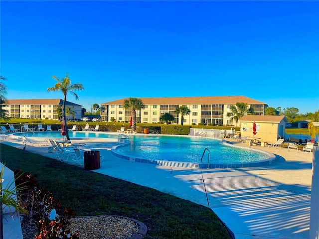 view of swimming pool featuring a patio and a shed