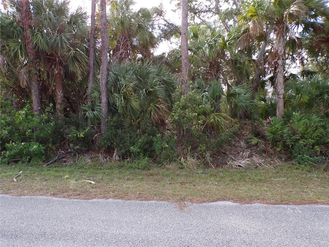 17461 Elmwood Ave, Port Charlotte FL, 33948 land for sale