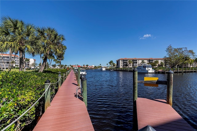 dock area with a water view